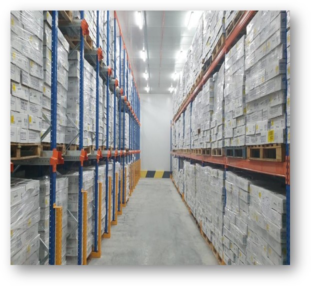 Cold Storage Features